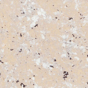 TERRE D’ ITALIA EMOZIONI