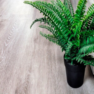 Ясень Серый