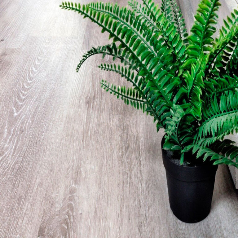 Ясень Серый