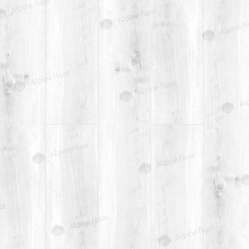 Дуб Выбеленный