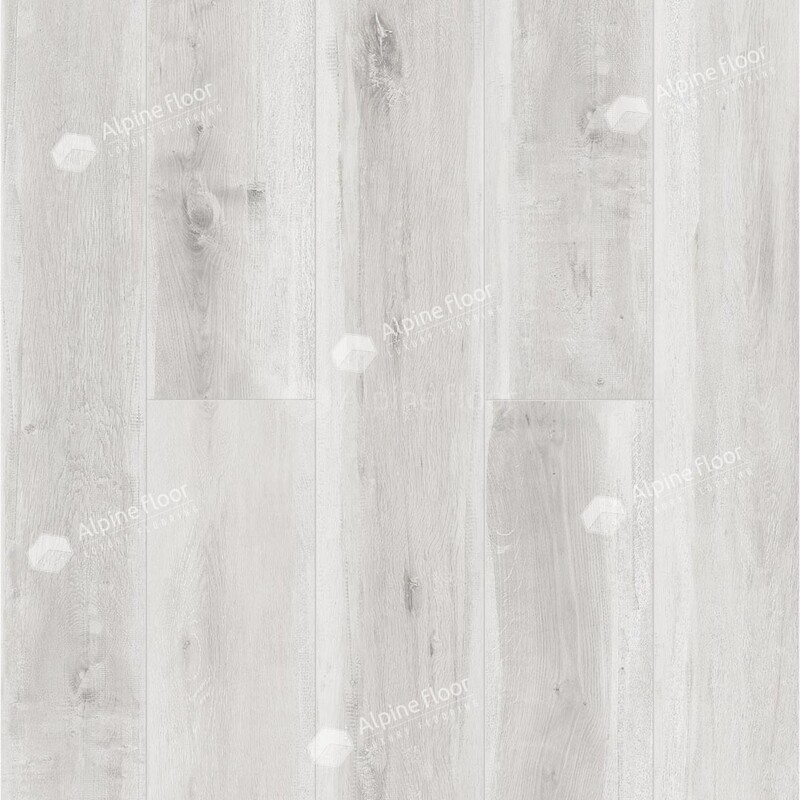 Дуб Полярный