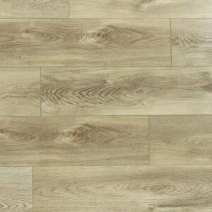 Дуб Песчаный