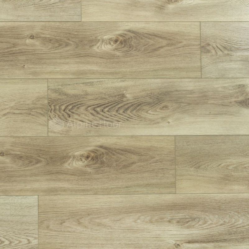 Дуб Песчаный